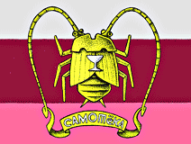 герб Самотёки двуглавый таракан, флаг независимого государства Самотёка