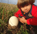 яйцо птицы Гамаюн -фотография Юрия Непахарева